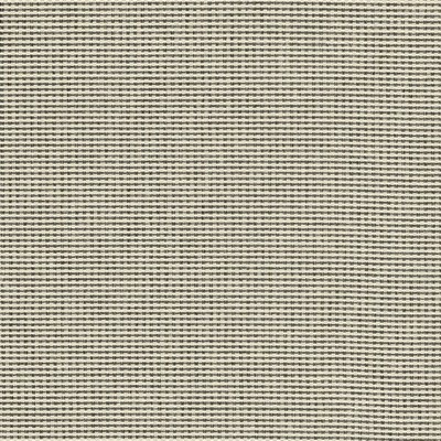 Kasmir LUNAR CROSSING   PANDA           